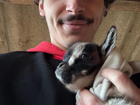 Les Animaux De Fairytale-Cap-d'Agde必去景点