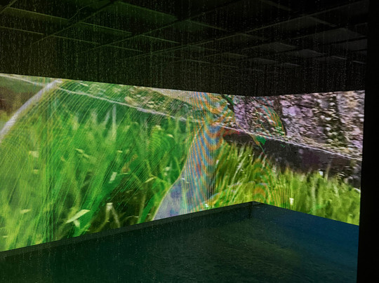 Cocoon Wellness Spa Riffa Bahrain-Riffa必去景点