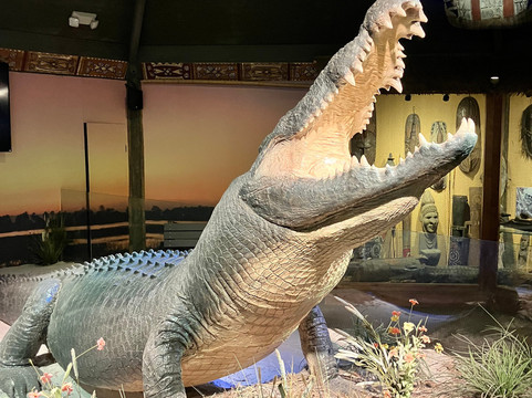 St. Augustine Alligator Farm Zoological Park-圣奥古斯丁必去景点