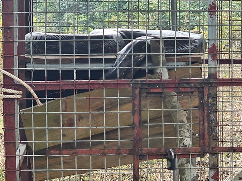 Aroma Viet Nam Travel-Cat Ba Town必去景点