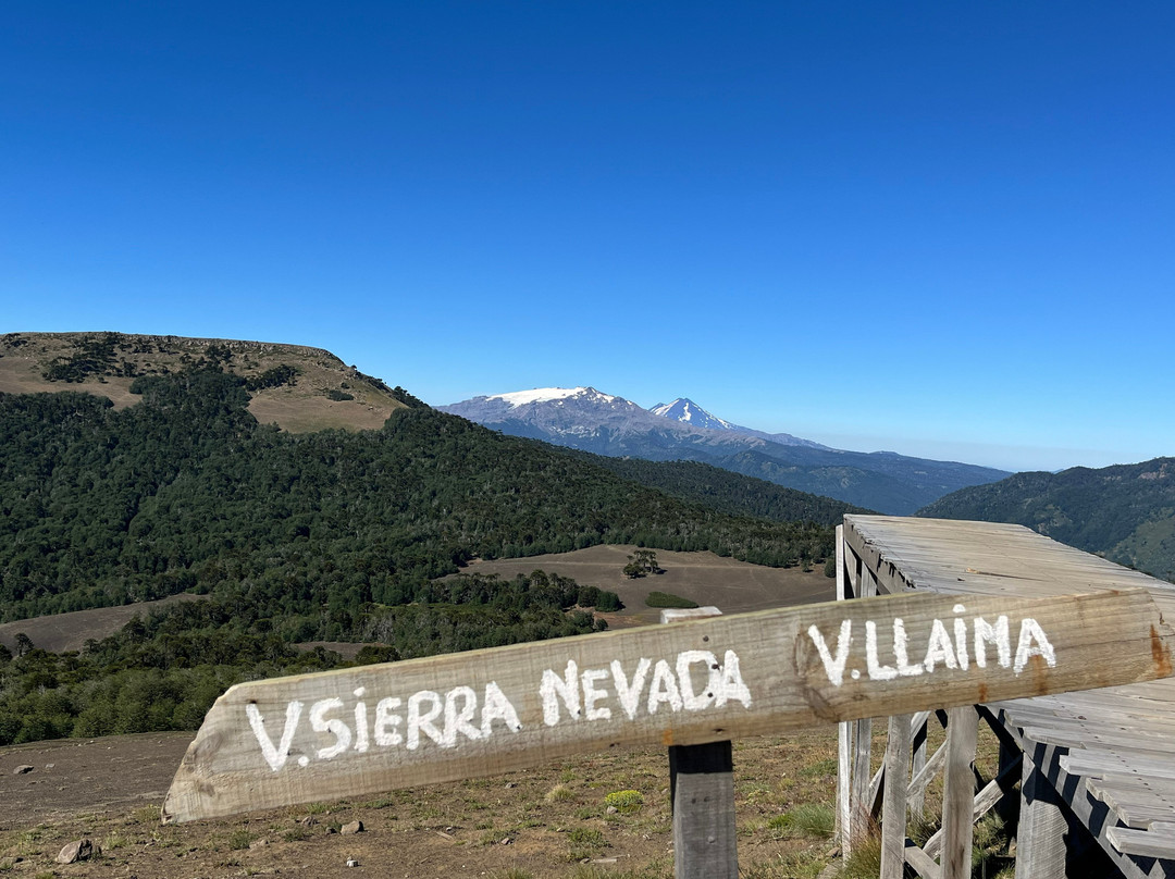 Reserva Nacional Malalcahuello - Nalcas-Malalcahuello必去景点