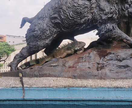 Parque Seminario-瓜亚基尔必去景点