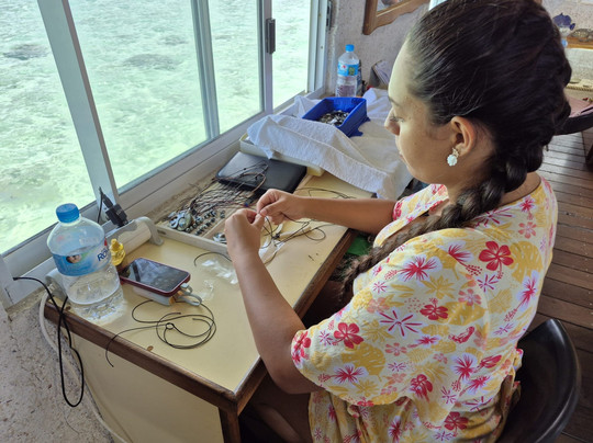 Huahine Pearl Farm-Huahine必去景点