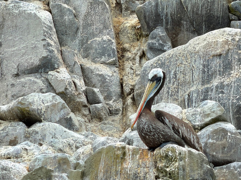 M & A LUX EXPERIENCES-利马必去景点