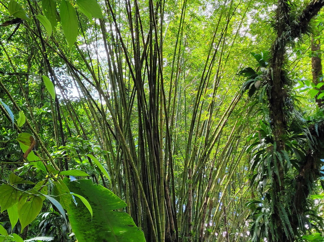 Domaine d'Emeraude-Le Morne-Rouge必去景点