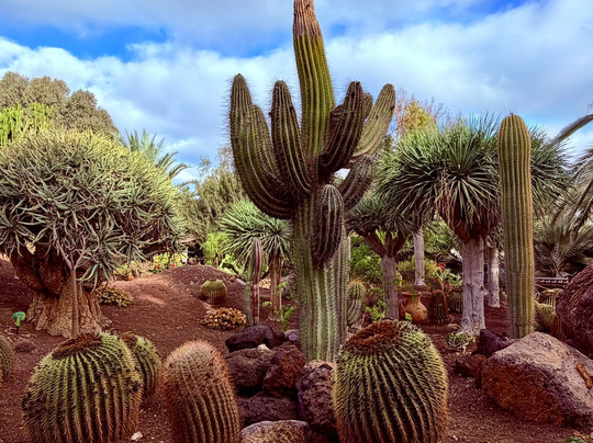 Mercado Agro Artesanal-La Lajita必去景点
