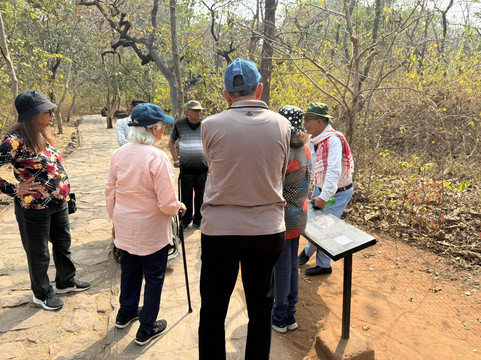 Bhimbetka Caves-Raisen必去景点