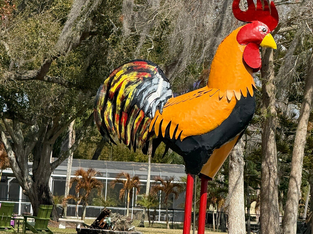 The Living Water Boat Cruises-温特黑文必去景点