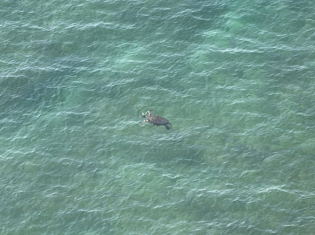 Salalah Safar-塞拉莱必去景点