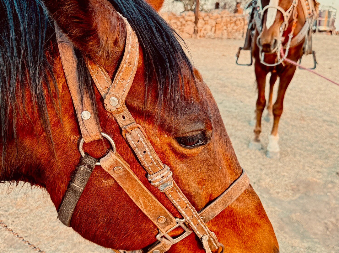 Rancho Xotolar-圣米格尔护城必去景点