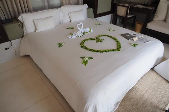 苏梅曾蒙海滩萨拉度假村主图