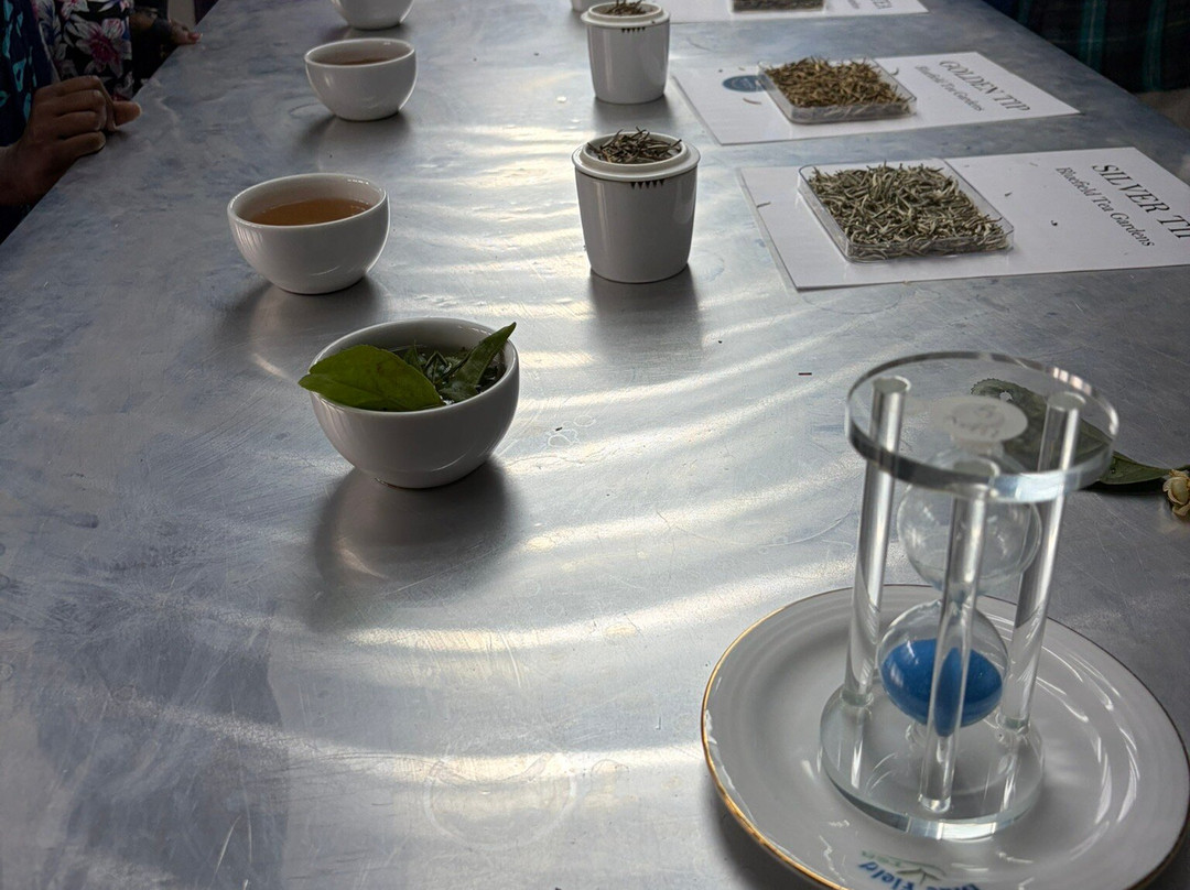 Blue Field Tea Factory-拉马伯达必去景点