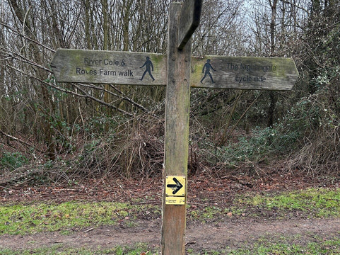 Nightingale Woods-斯温顿必去景点