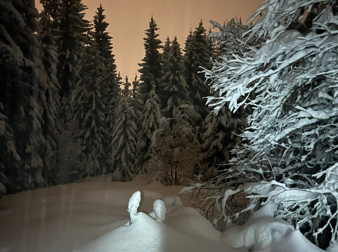 Megeve Raquettes-梅杰夫必去景点