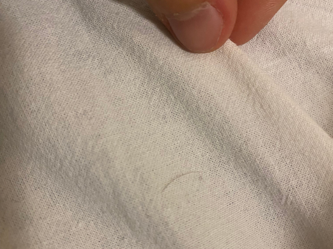 Hotel Marguareis主图