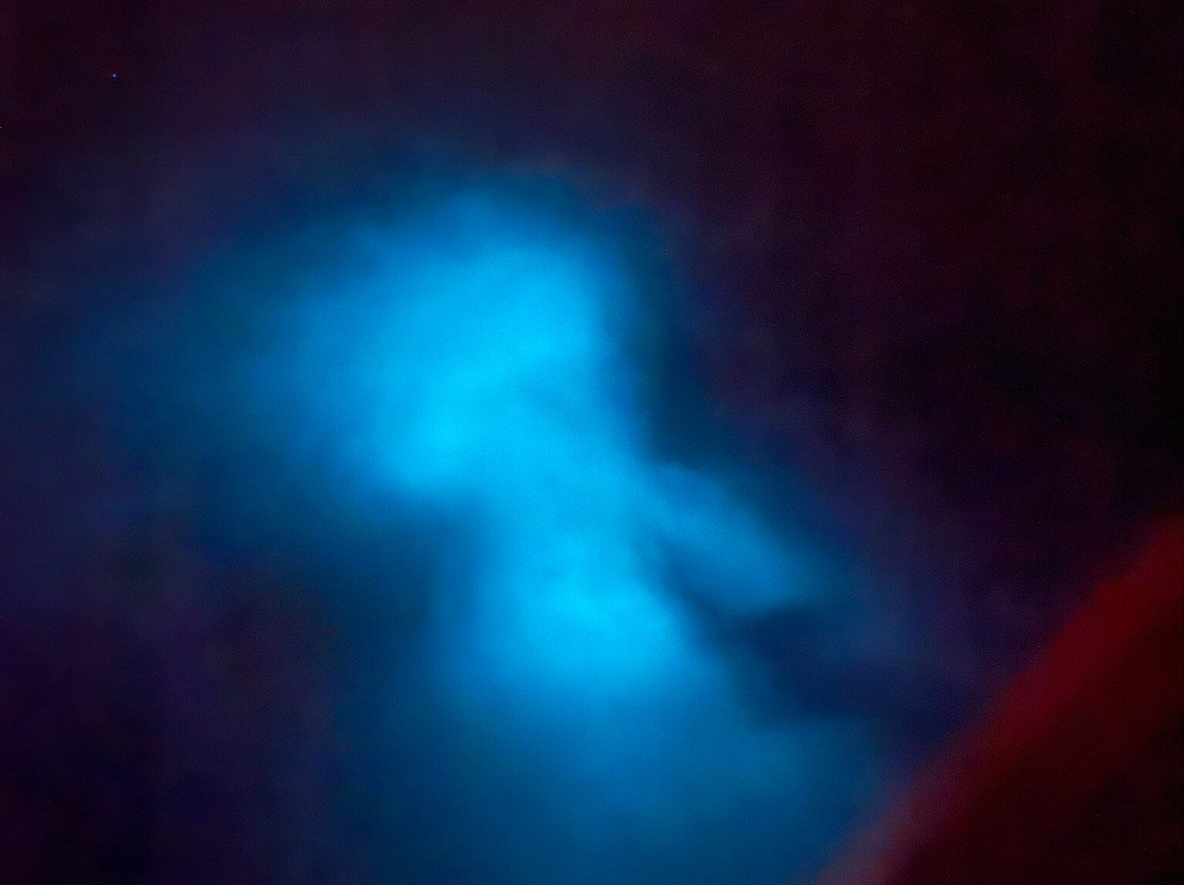 Melaya's Biobay Tours Vieques-埃斯佩兰萨必去景点