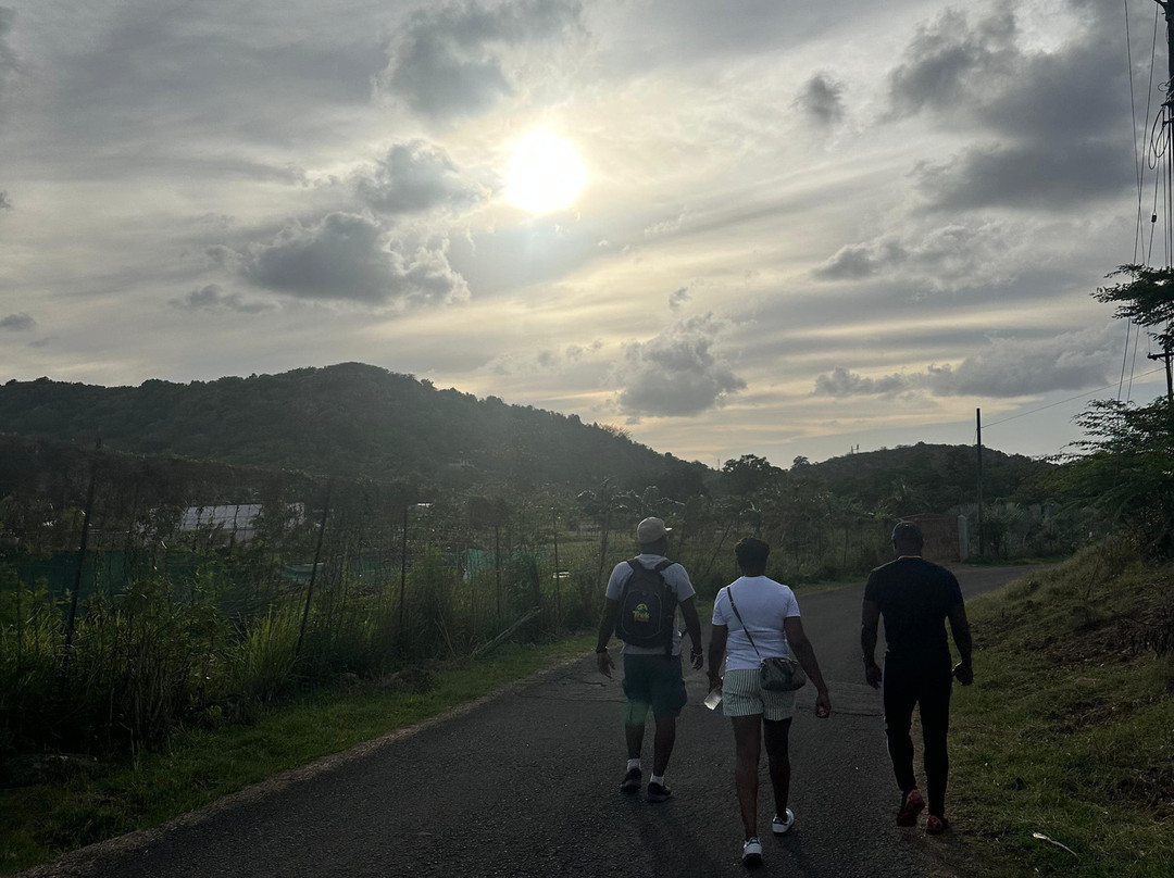 Trek Tours-圣 约翰必去景点