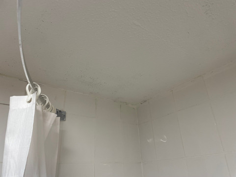 普瑞米尔沃灵顿中心酒店主图