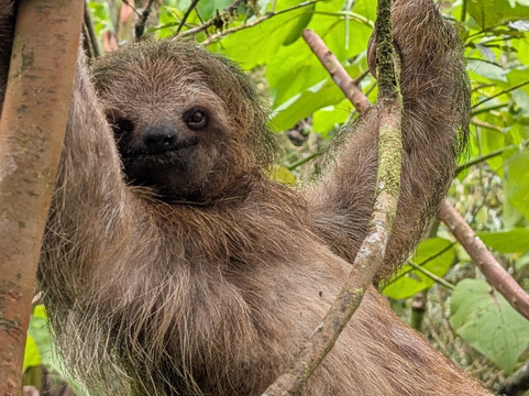 Costa Rica One On One Tours-Playas del Coco必去景点