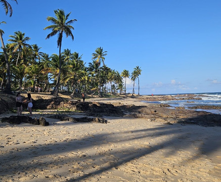 Costa Do Sauípe Resorts