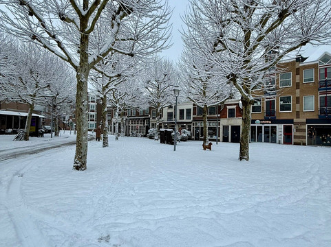 Stadhuis Gouda (City Hall)-高德必去景点