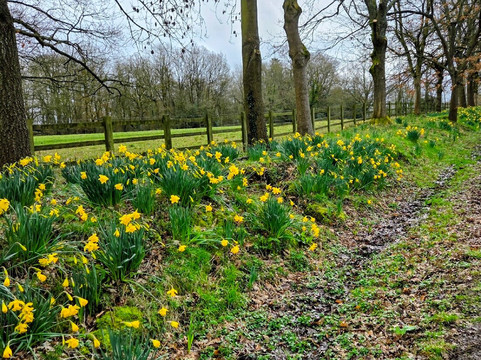 Packwood House-Lapworth必去景点