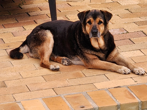 Chicane Bed and Breakfast主图