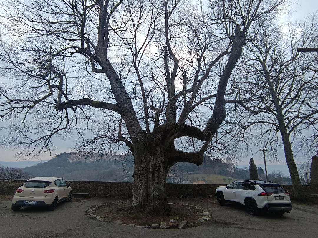 Convento Montesanto-Romazzano必去景点