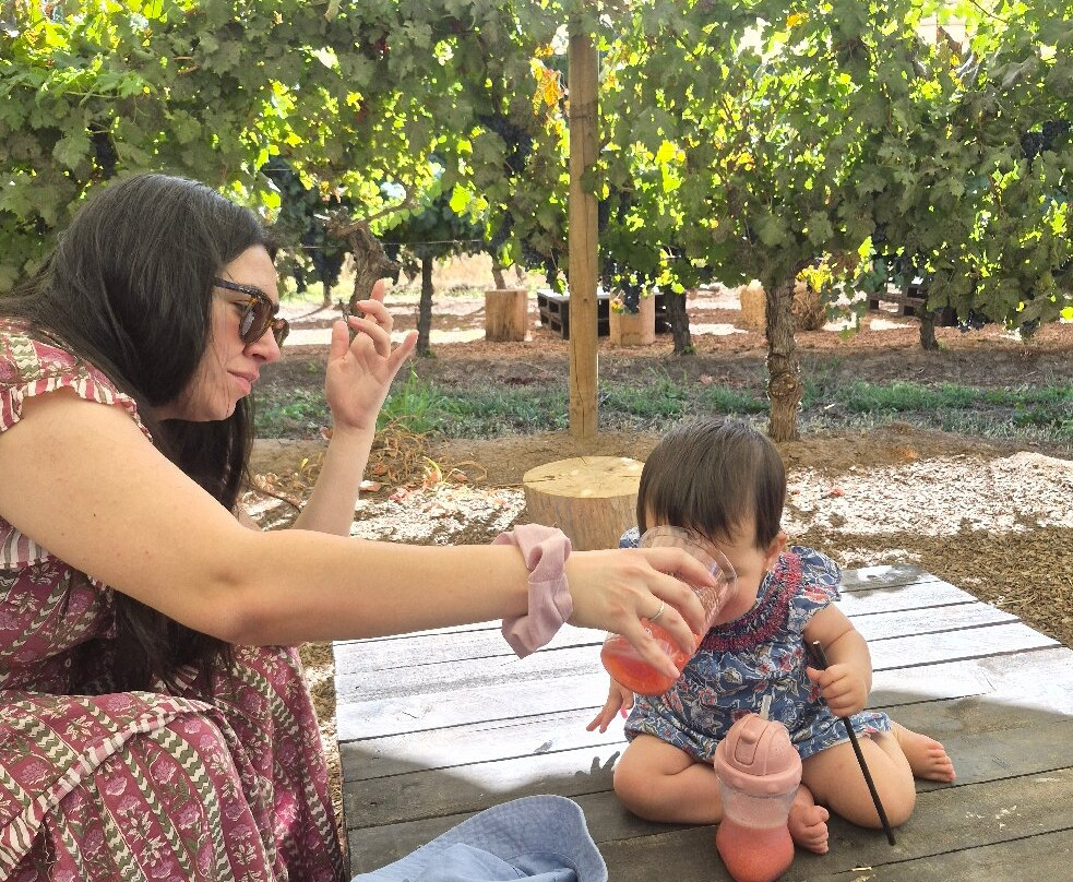 Viña Casa Acosta-San Vicente de Tagua Tagua必去景点