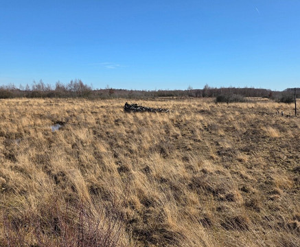 Buitencentrum de Pelen-Ospel必去景点