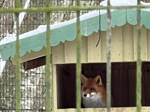 Elistvere Animal Park-Tabivere必去景点