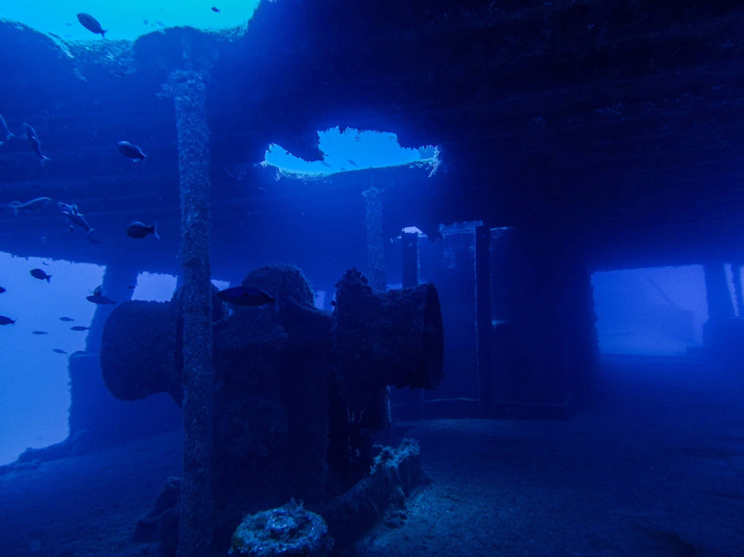 Oceanic Diving Center-Nikiti必去景点