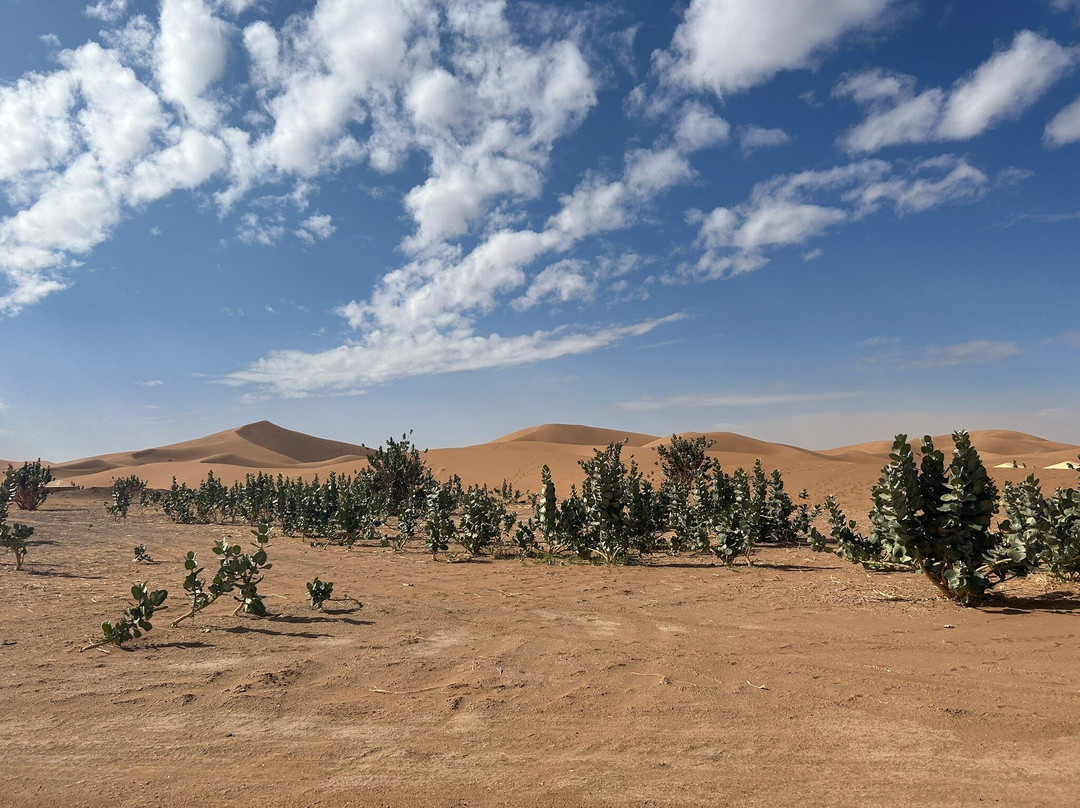 Wild Morocco-扎古拉必去景点