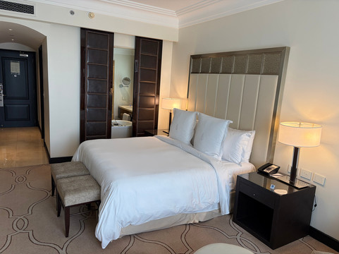 布宜诺斯艾利斯四季酒店主图