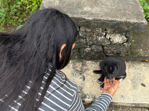 Lokha The Bali Tours-登巴萨必去景点