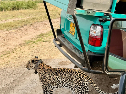 Albrieux Africa Tours Uganda Ltd-坎帕拉必去景点