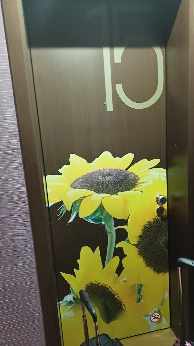 鲜花精品酒店-客卧