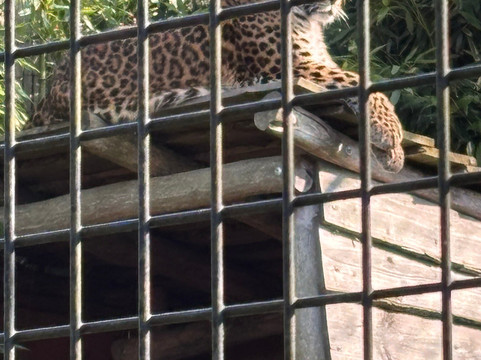 Landgoed Hoenderdaell-Anna Paulowna必去景点