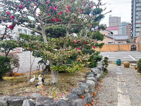 Jozenji Temple-草津市必去景点