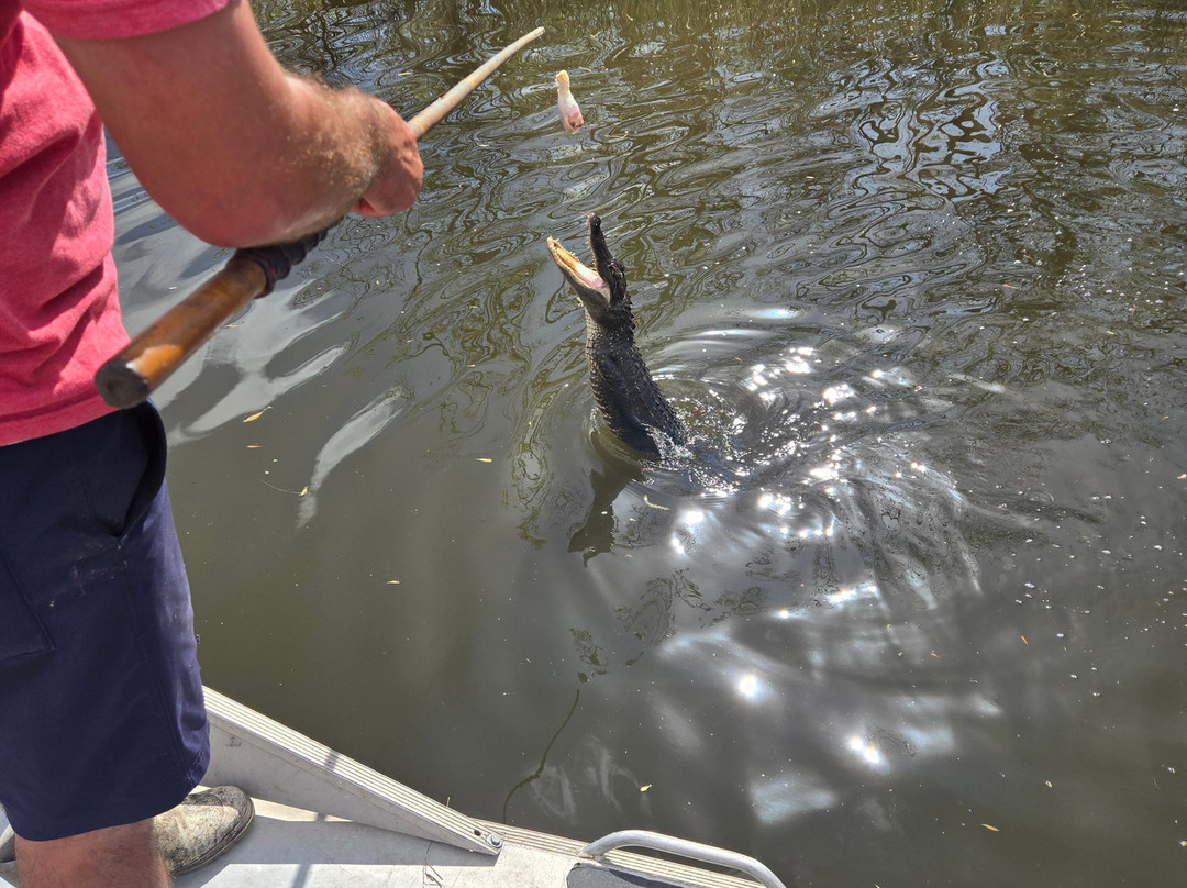 Ragin Cajun Airboat Tours-新奥尔良必去景点