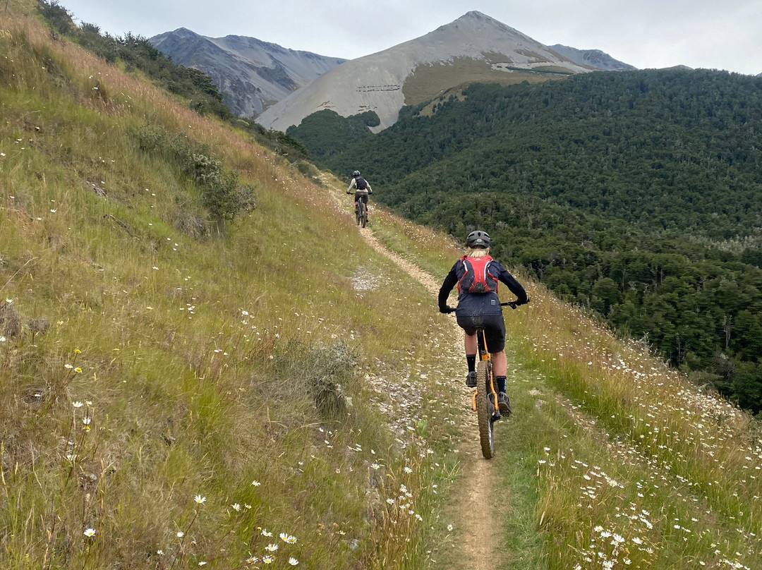 Tekapo Adventures-基督城必去景点