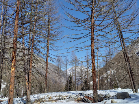 Sentieri della Valnontey-科涅必去景点