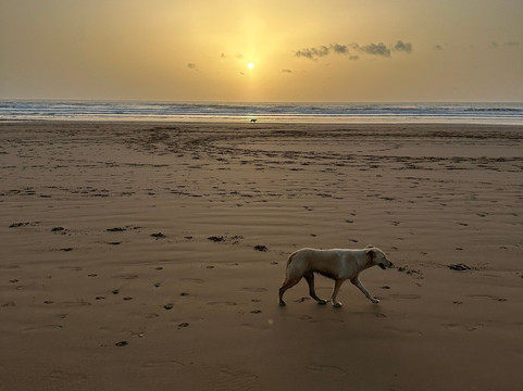 Ocean Ranch Essaouira-索维拉必去景点