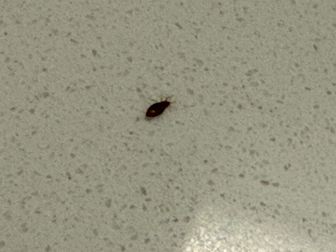 希尔顿欢朋酒店-俄克拉何马市东北主图