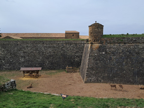 Ciudadela De Jaca-哈卡必去景点