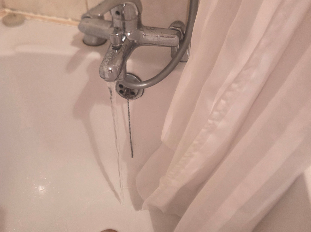 白天鹅酒店主图