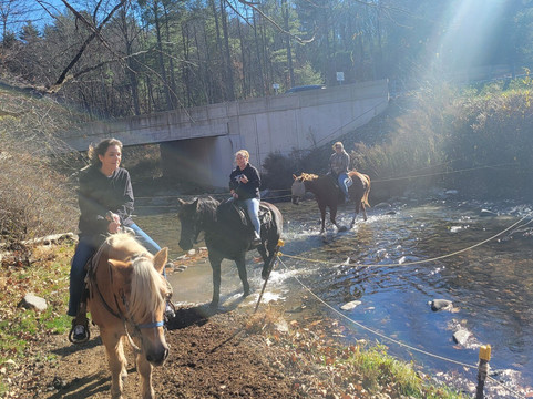 Mountain Creek Riding Stable-Cresco必去景点