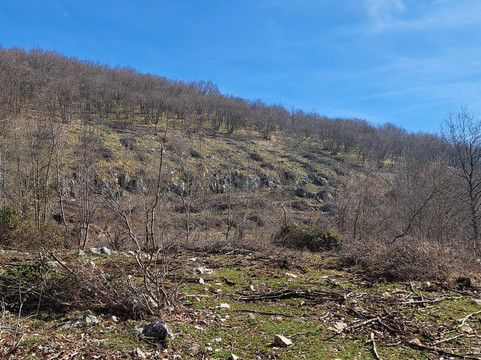 Museo Combat Road-Filignano必去景点