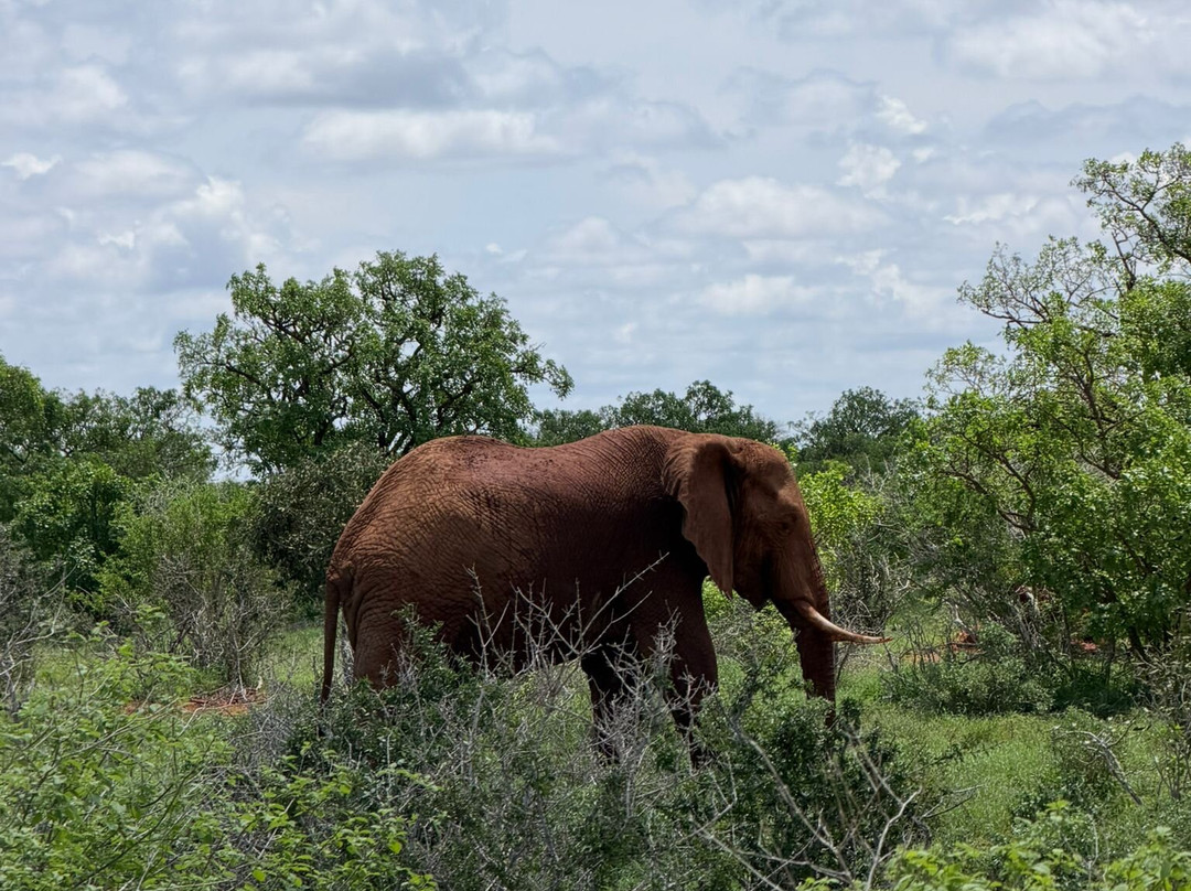 Zucchero Safari Kenya-瓦塔木必去景点