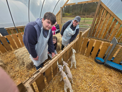 Hillview Animal Park-Alloa必去景点